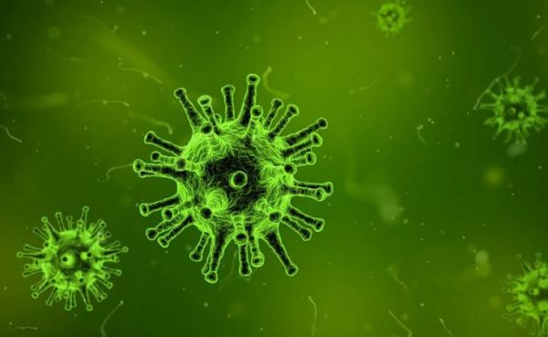 Ученые перечислили факторы, которые увеличивают риск смерти от коронавируса