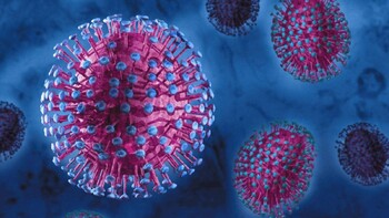 Эксперт: коронавирус будет распространяться по миру до конца июня